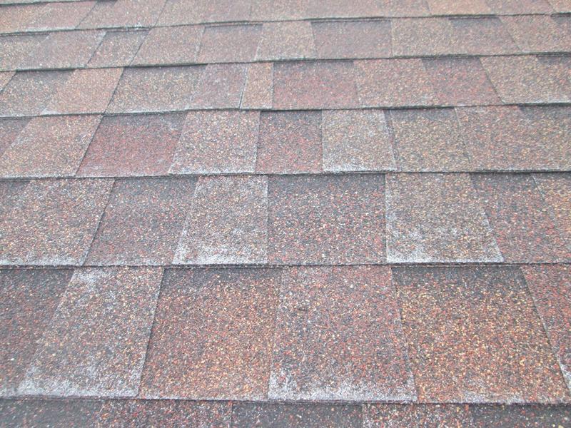 California tile roof granule loss needs replacement